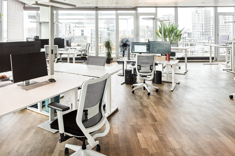 Modernes Büro in der Schweiz ausgestattet mit höhenverstellbaren Tischen und ergonomischen Bürostühlen von Yaasa.