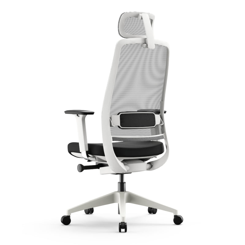Chair Expert – “L’Agile”