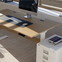 Desk Essential - Height-Adjustable Desk