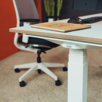 Desk Expert - Standing desk