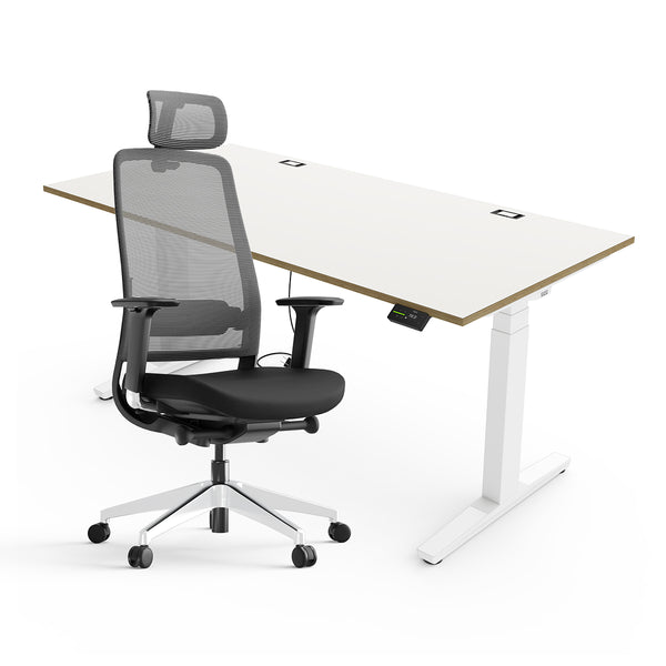 Expert Set: Desk & Chair Expert