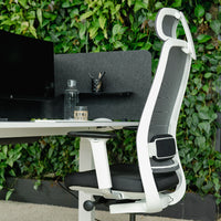 Expert Set: Desk & Chair Expert