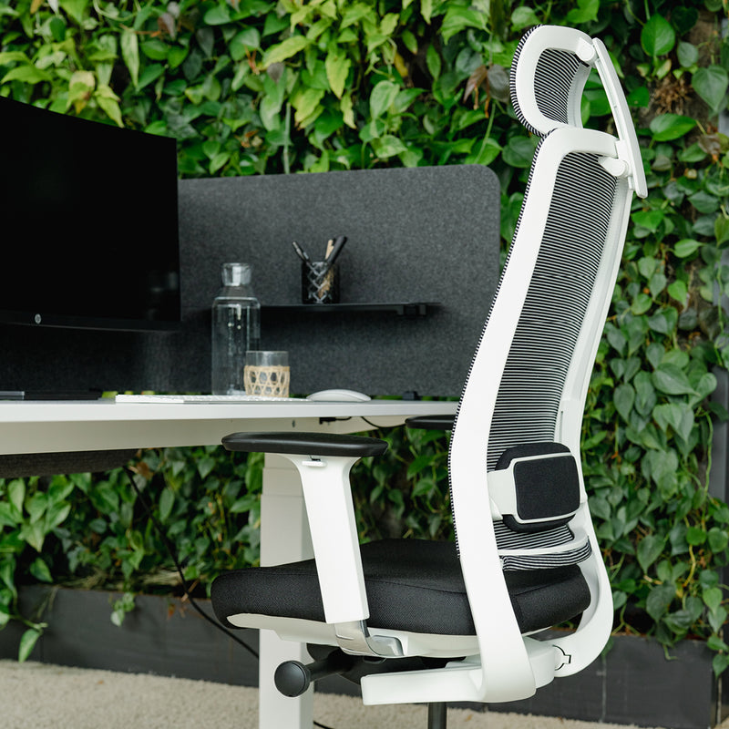 Expert Set: Desk & Chair Expert
